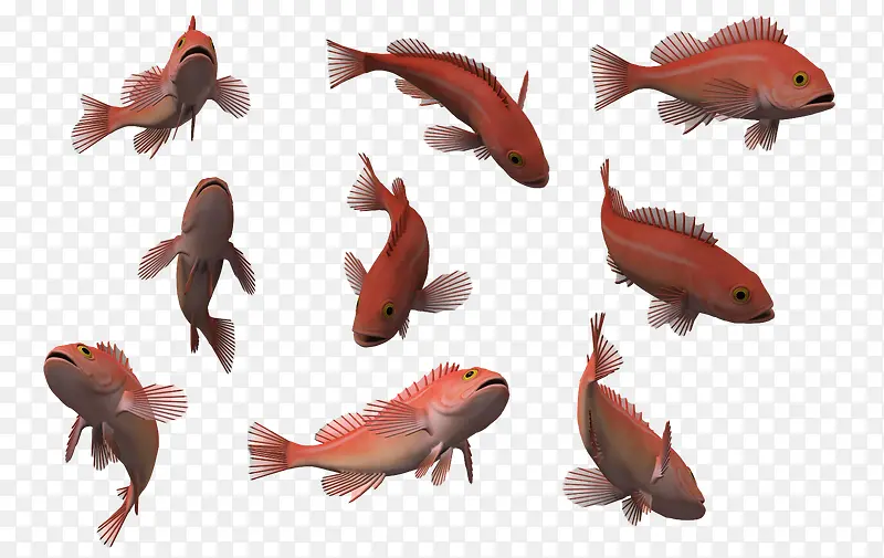卡通动物鱼类