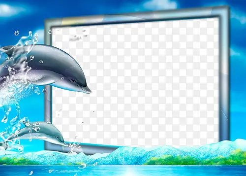 漂亮的海豚相框素材图片