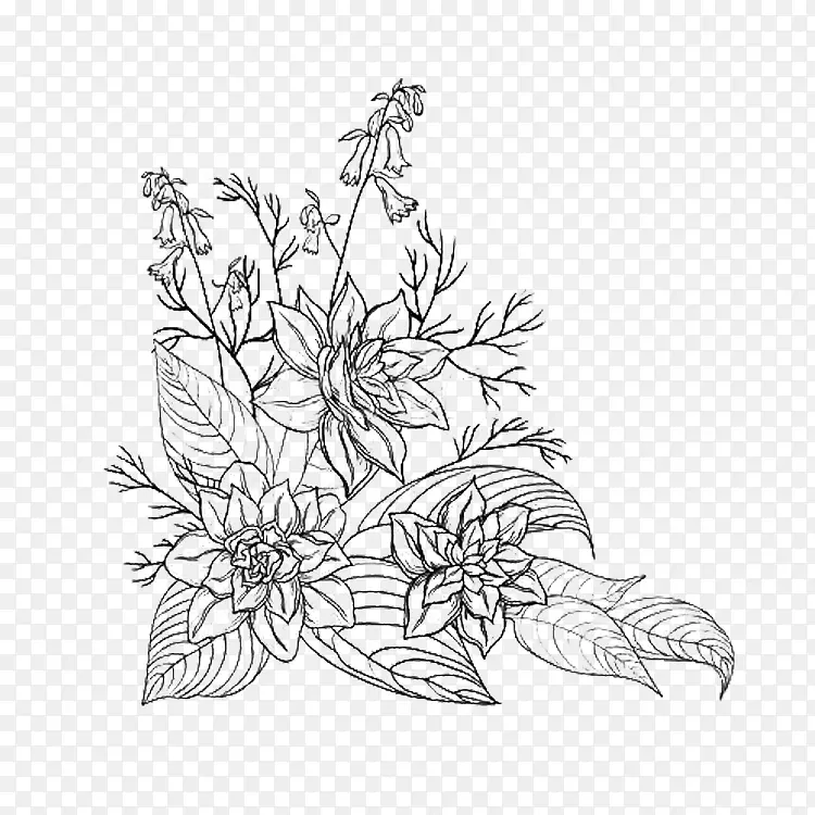 清笔勾线花纹