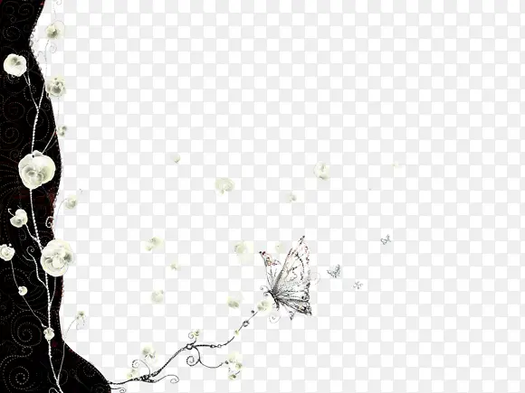 蝴蝶