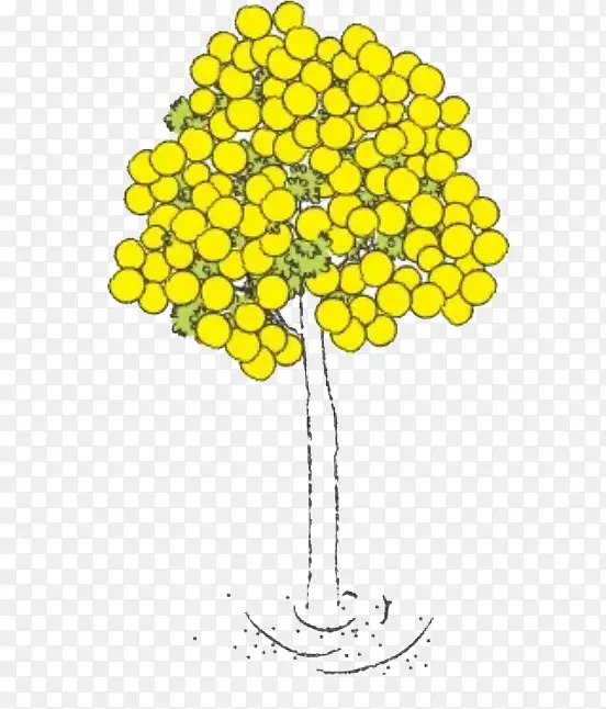 手绘的柠檬树