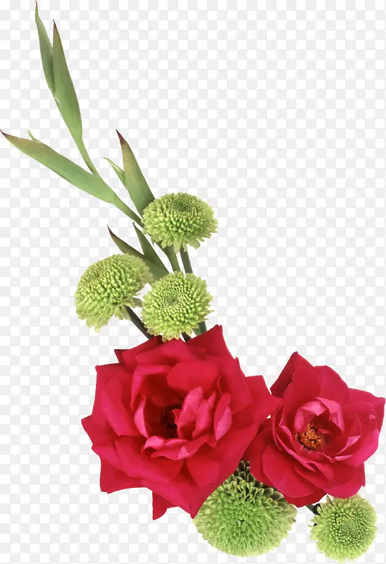 矢量花草素材花草图案