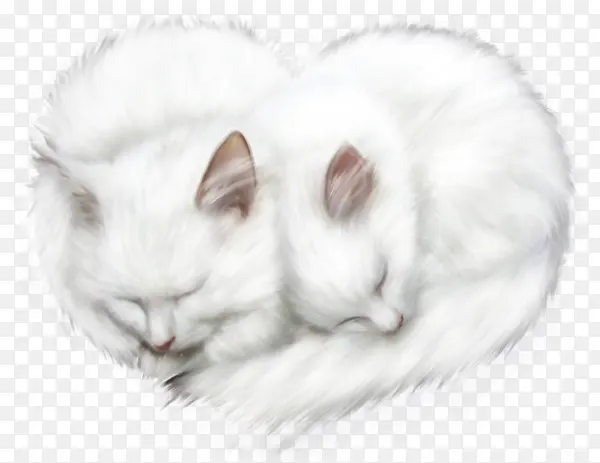 白色心形小猫