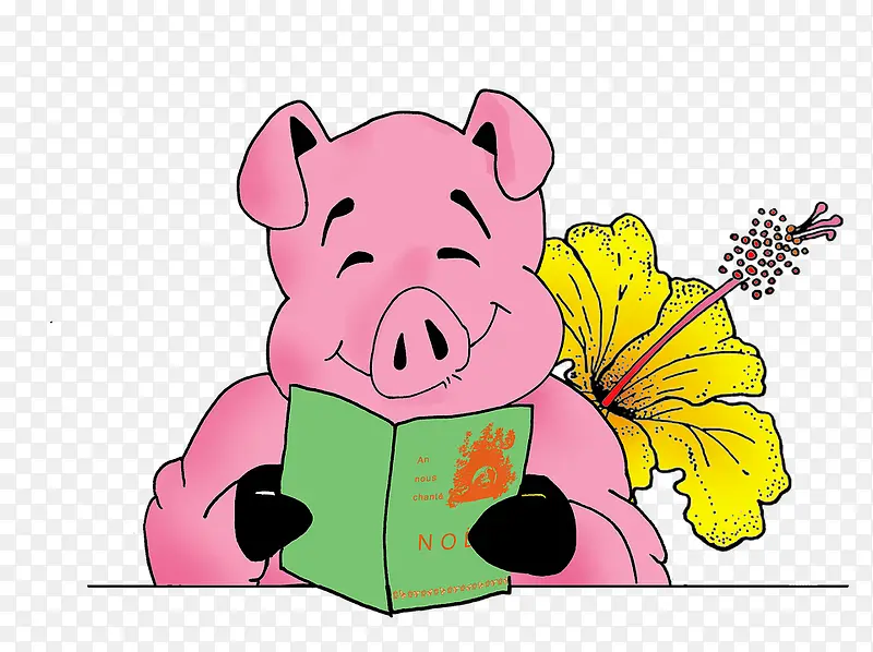 粉红色公猪兴致勃勃看书