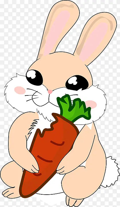 一只兔子正在吃东西