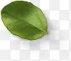 绿色树叶免抠素材背景图片