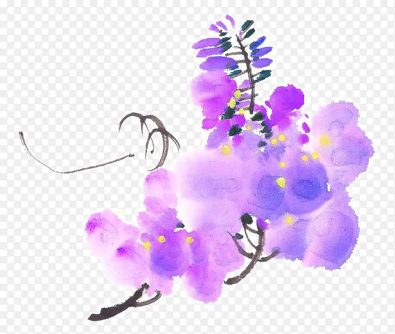 紫色花卉