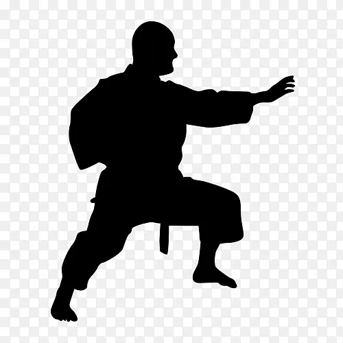 武术人物剪影动态动作姿态展示PNG图片素材下载_图片编号qjgdppgy-免抠素材网