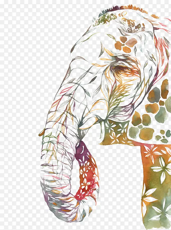 彩色忧伤的大象