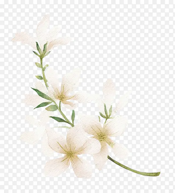 白色水粉花朵植物装饰图案