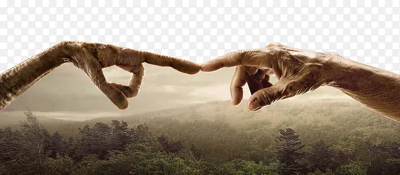 苍老的手对手背景图