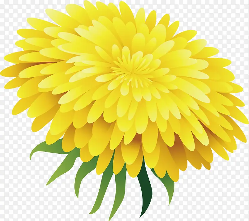 矢量图黄色菊花绿叶鲜艳