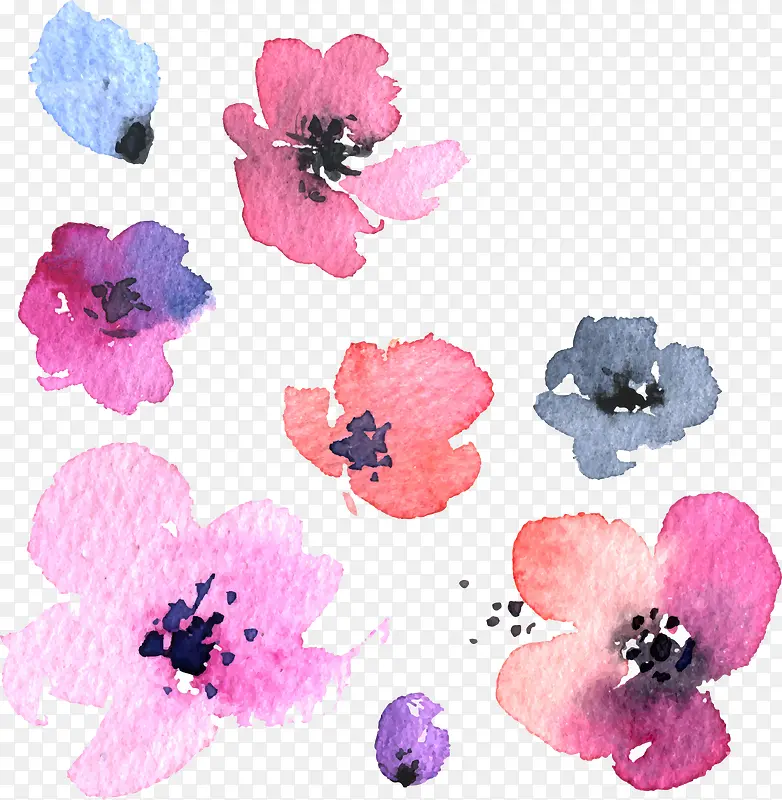 手绘的水彩花朵