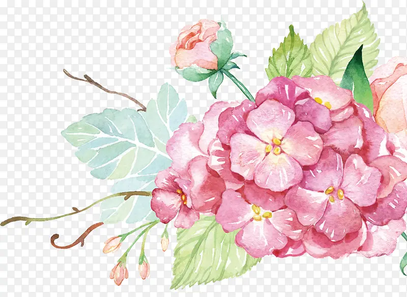 粉色中国风水彩花朵