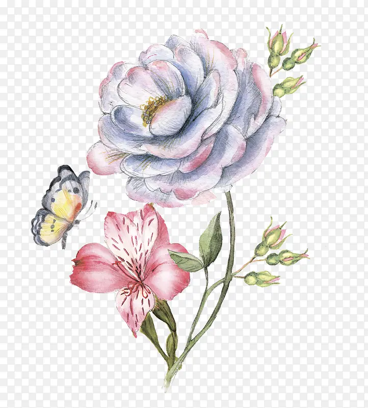 手绘彩铅花朵蝴蝶