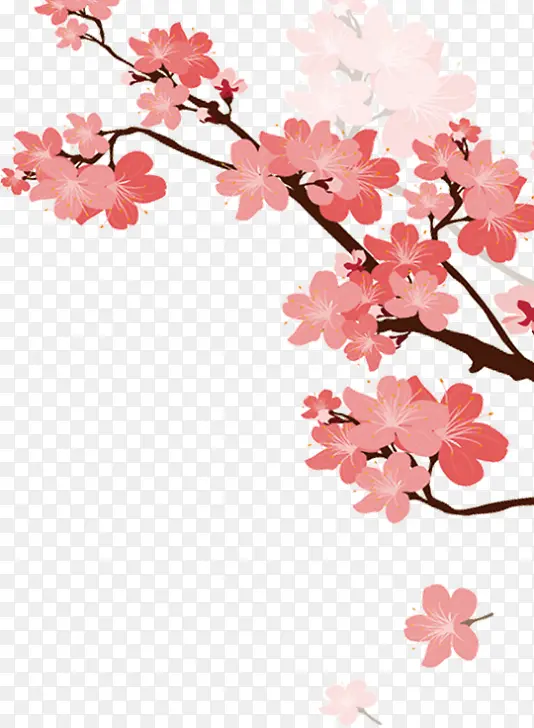 粉色中国式桃花花枝