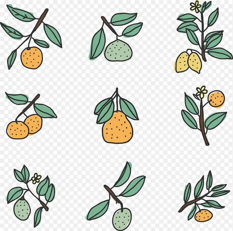 手绘小清新多种柑橘类水果