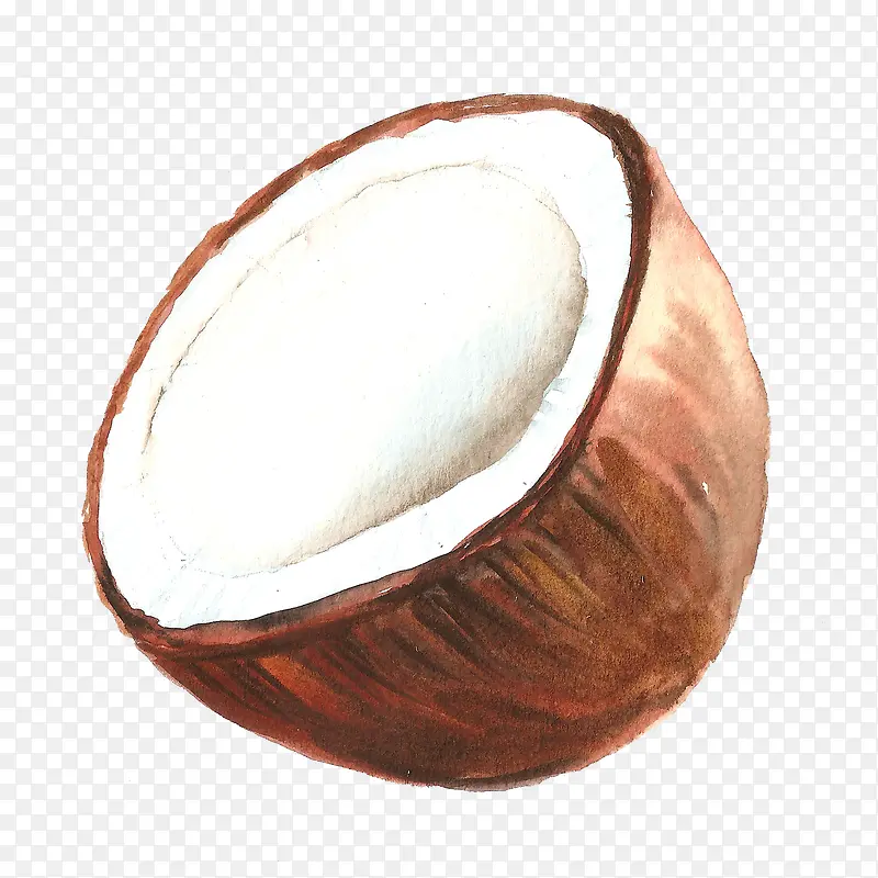 卡通手绘半个椰子
