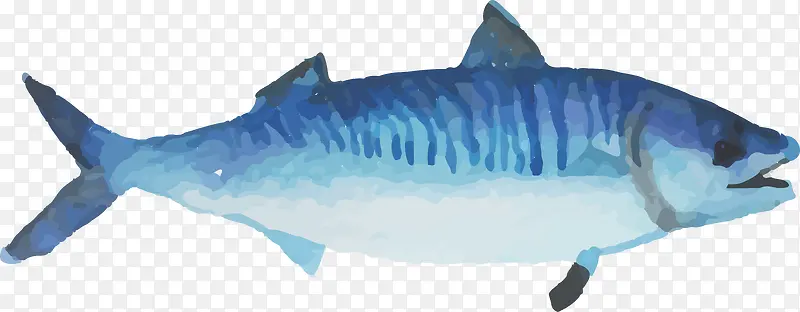 卡通水彩蓝色的鱼
