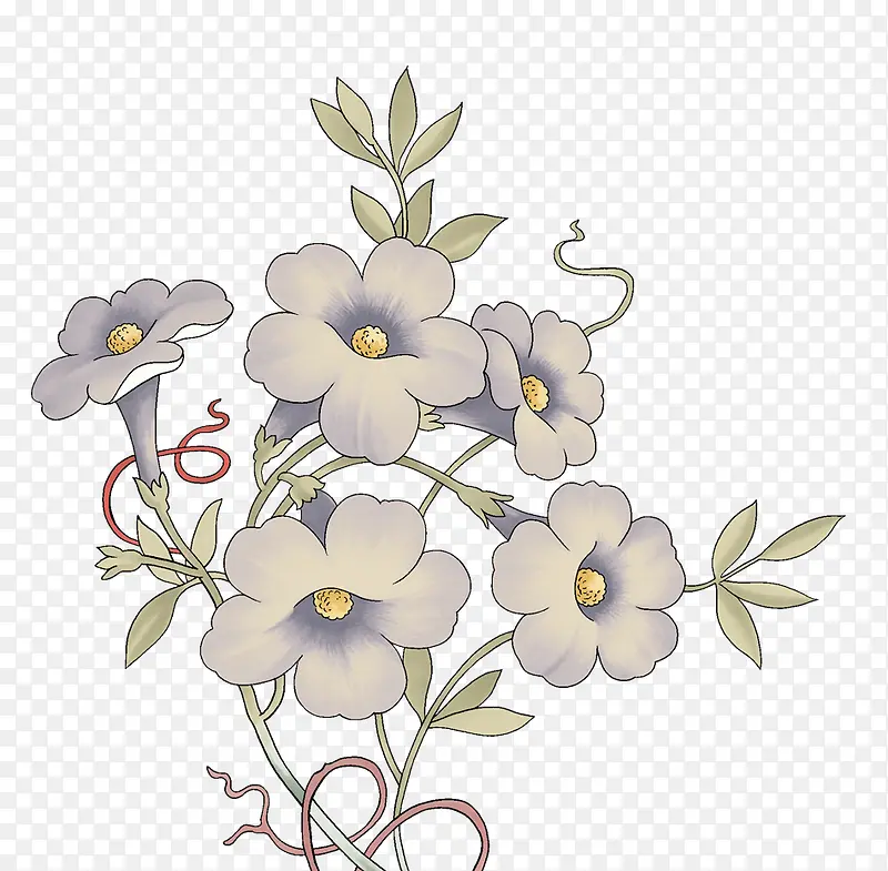 手绘喇叭花