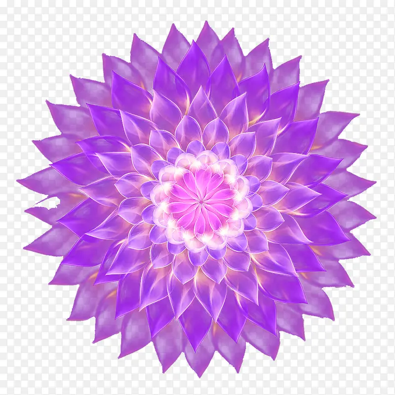 梦幻紫花绽开的花朵顶视图