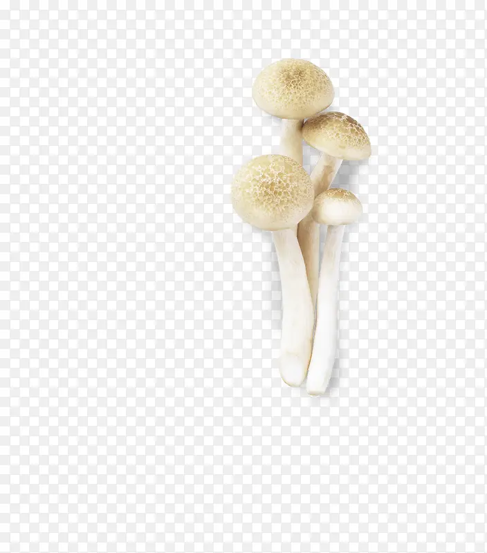 四个蘑菇