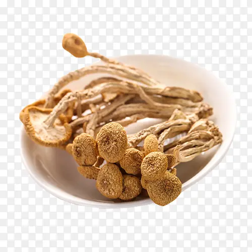 炖汤食材