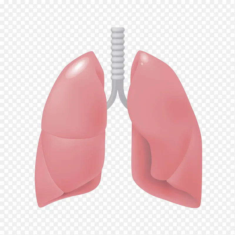 人体肺器官卡通插画