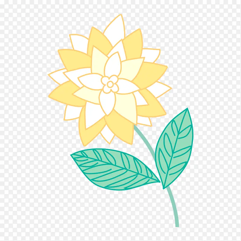 手绘植物花卉