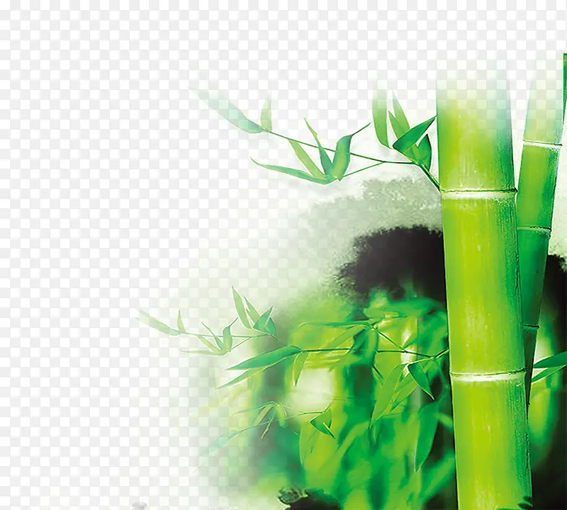 翠绿竹子图层
