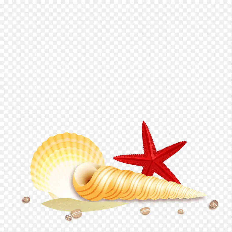 矢量海螺