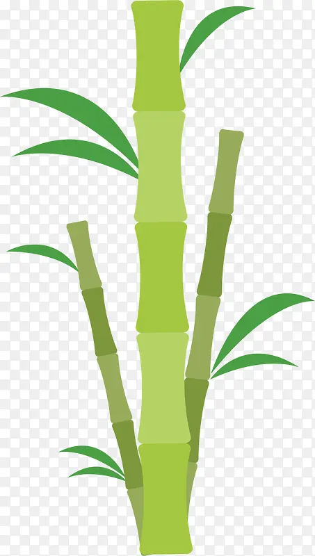 绿色美容会馆竹子