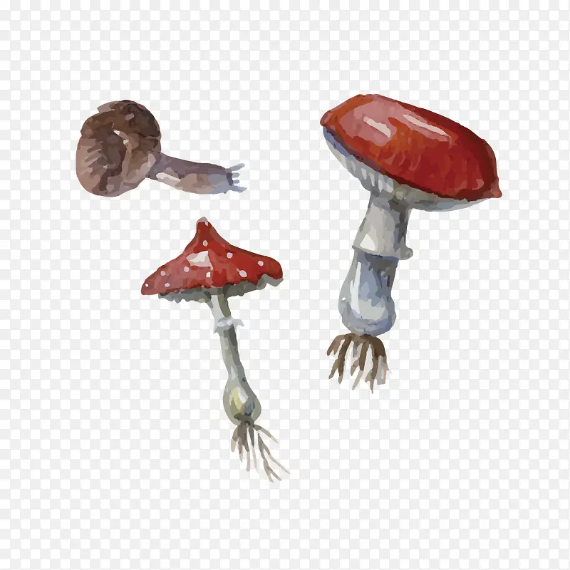手绘三朵小蘑菇矢量素材