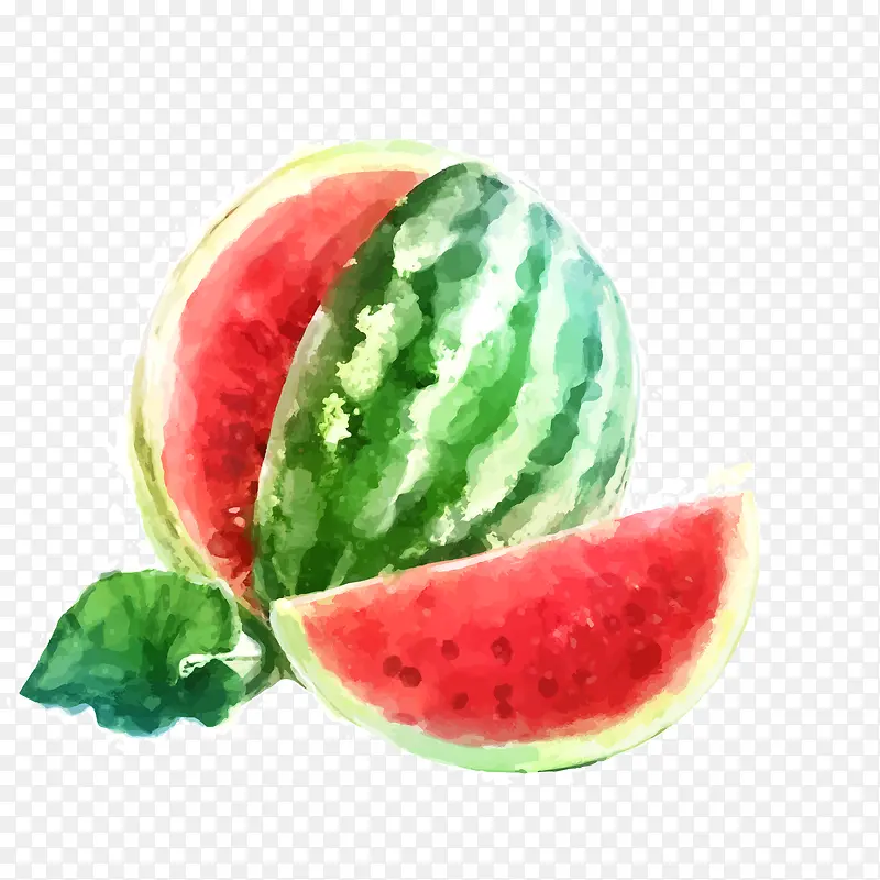 夏日水彩西瓜矢量