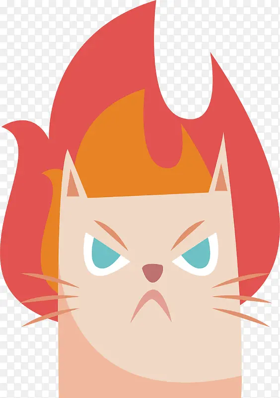 发火的猫咪