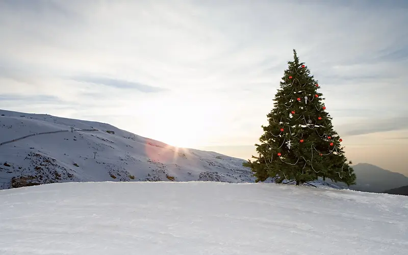 阳光圣诞树雪峰高山