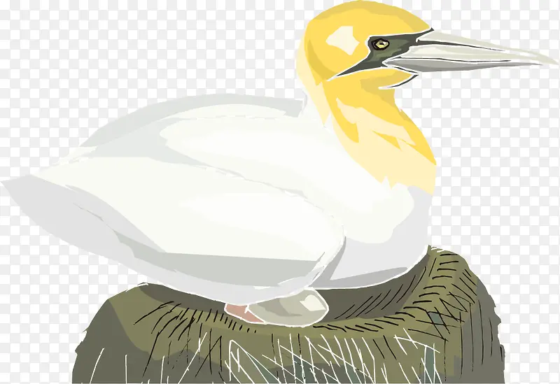孵蛋的白色鸟免抠图