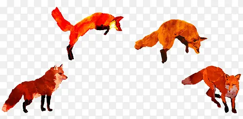 四只跳跃的狐狸