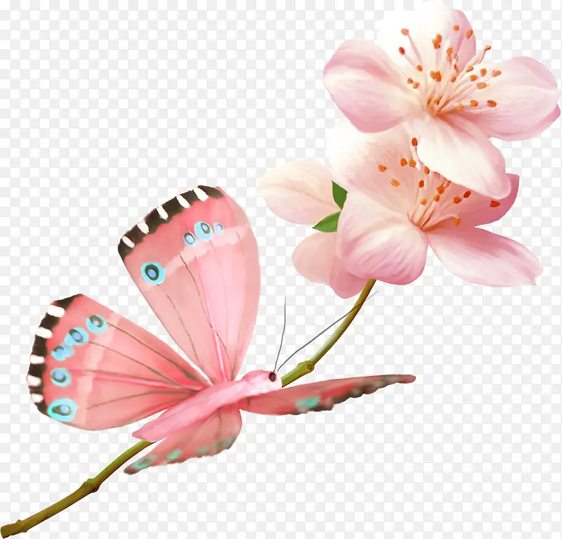 超唯美漂亮粉色花朵蝴蝶