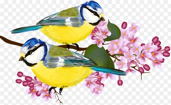 手绘站在桃花枝上的黄腹山雀