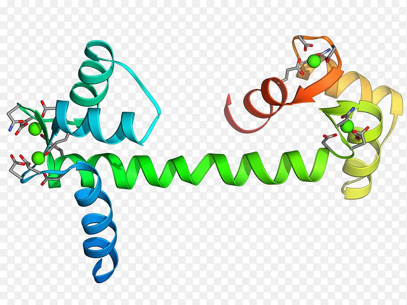 蛋白质分子模型设计