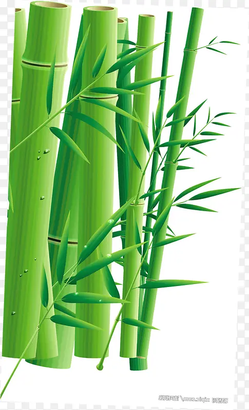 清新竹林风光手绘