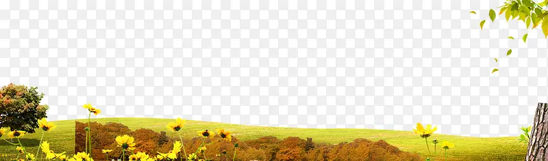 黄色秋季草坪背景