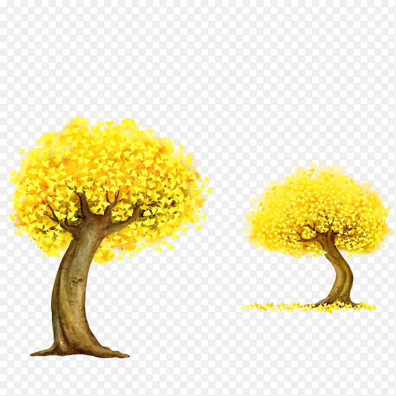 金黄的大树