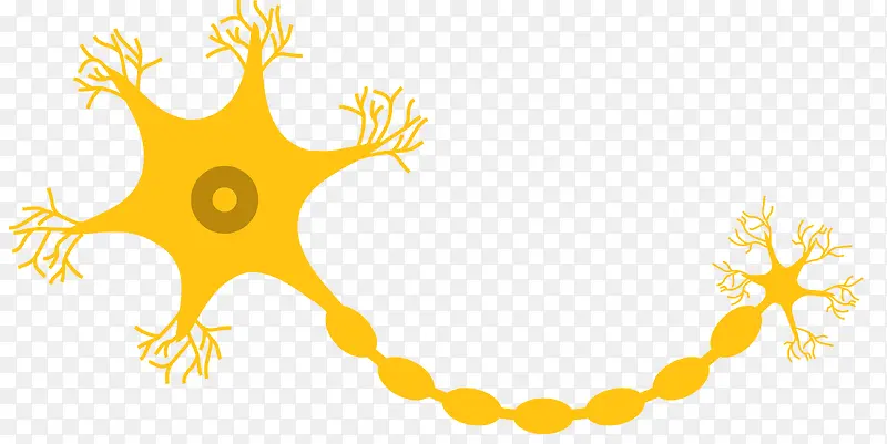 黄色长条形矢量神经细胞