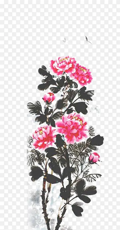 国画水墨丹花