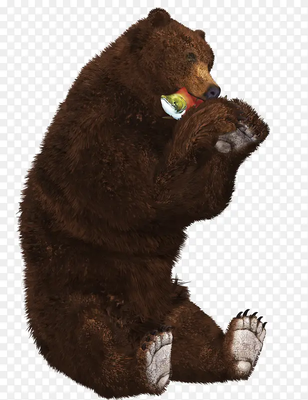 吃东西的棕熊