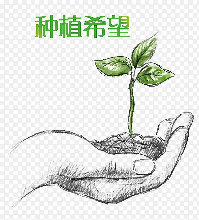 手掌中希望的种子