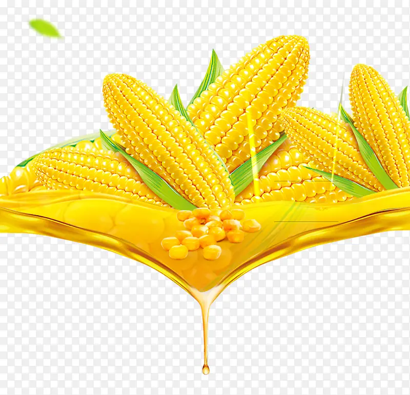 玉米碴子粗粮食品