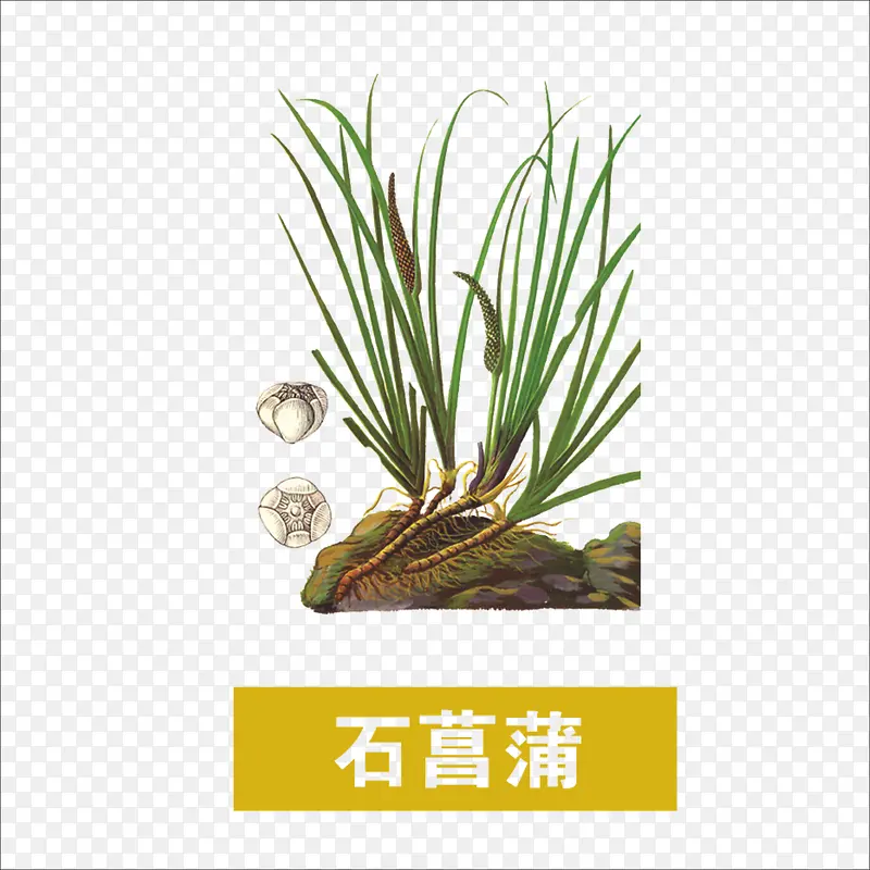 草药